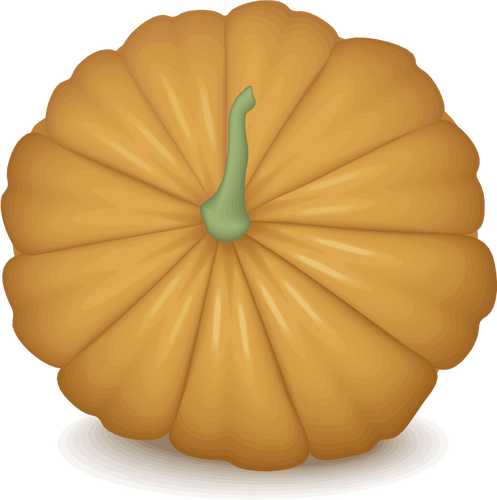 Immagine di zucca arancione