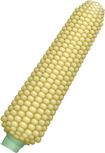 Kukuřičné paličky