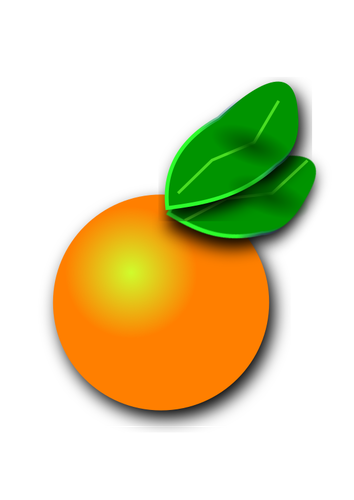 Oranžové Citrus