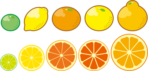 Citrus Fruits