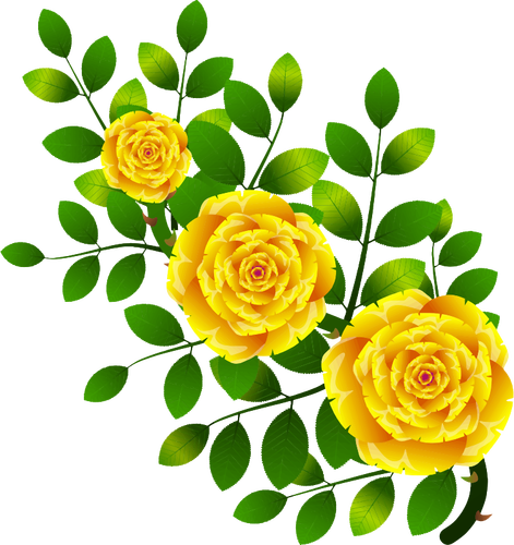 Żółte róże