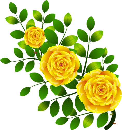 Roses jaunes