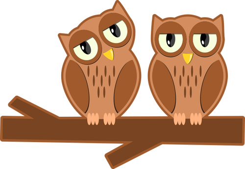 Owls on a branch