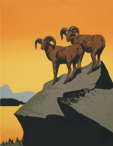 Mountain rams