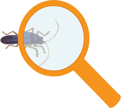 Magnifying glass and bug