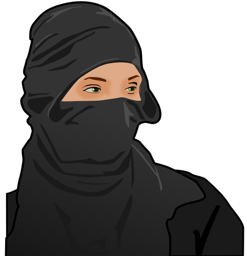 Lady ninja vector image