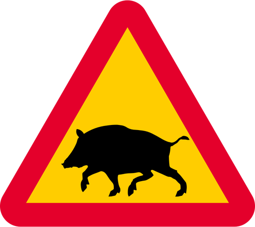 경고 boars