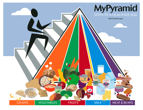 Plakát potravinové pyramidy