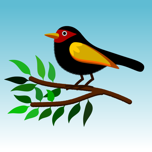 Pájaro colorido árbol