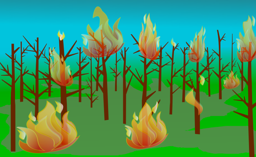 Pożar lasu