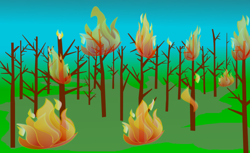 Forest fire