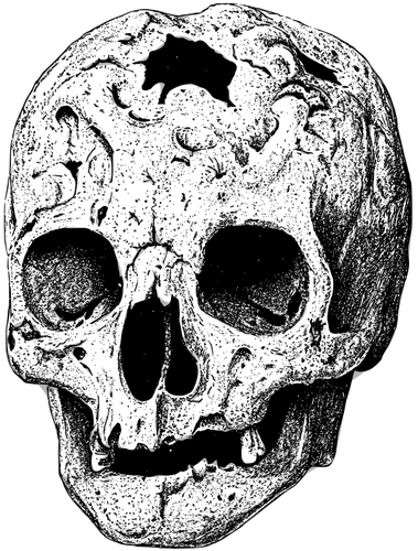 Immagine di vettore del cranio rotto