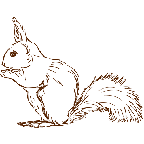 1577295996squirrel-01.png