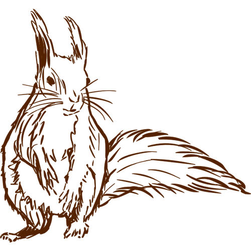 Squirrel vector sketch