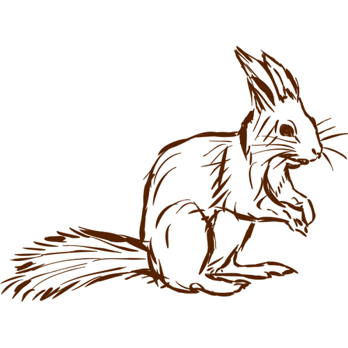 Squirrel vector drawing