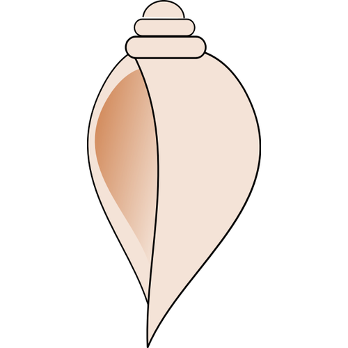 Conch shell clip art