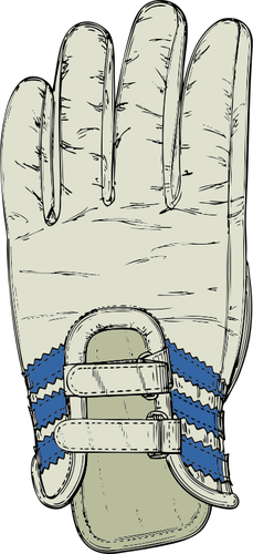 Grafika wektorowa z rękawic narciarskich szary i niebieski