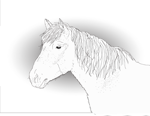 رسم متجه للحصان
