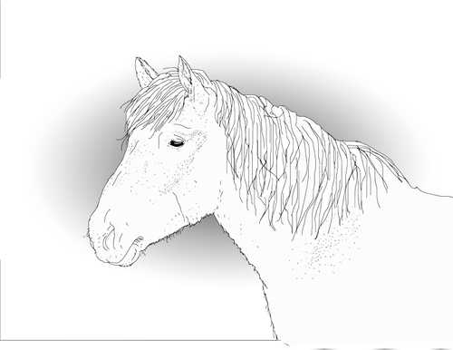 Vector drawing of a horse