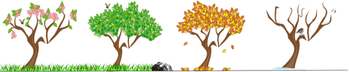 Trees vector image