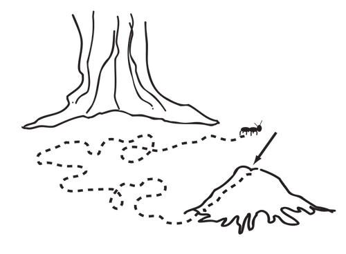 Ant path vector illustration