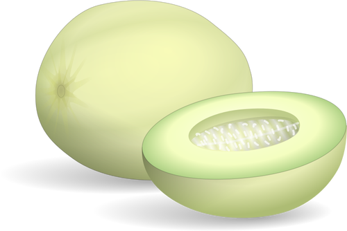 Honeydew melon whole and half vector clip art