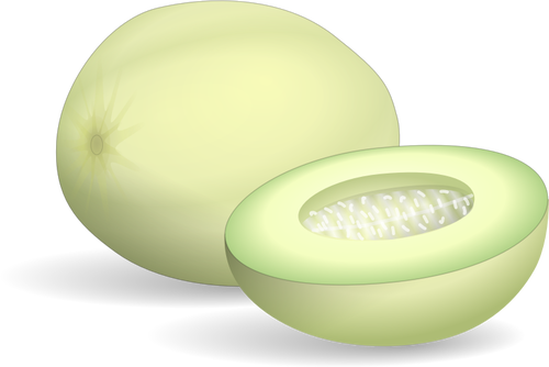 Honeydew melon whole and half vector clip art