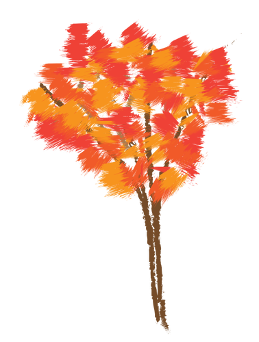 Maple tree in autumn vector illustration
