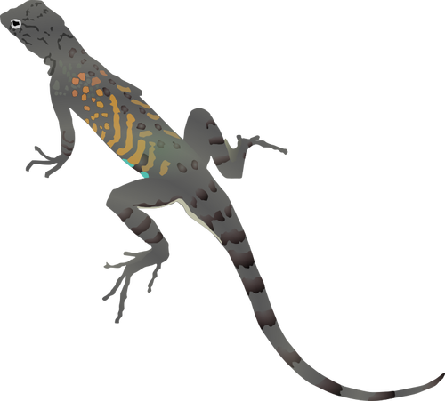 Illustration de lézard coloré