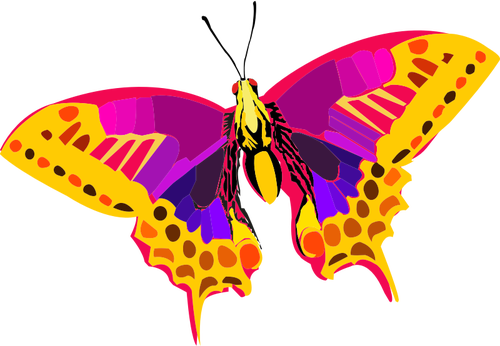 Papillon coloré abstrait