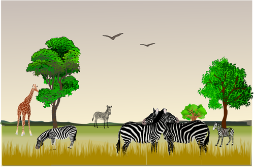 非洲野生动物风景矢量图像