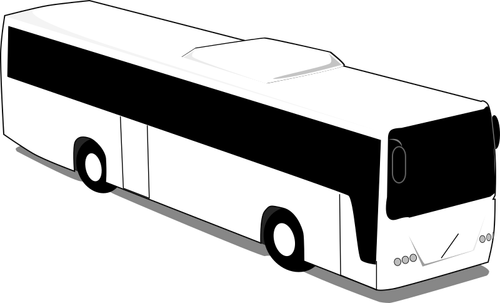 Black and white bus