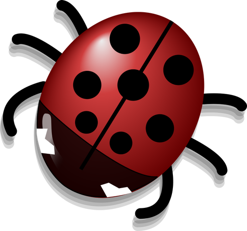 Coccinella con ombra