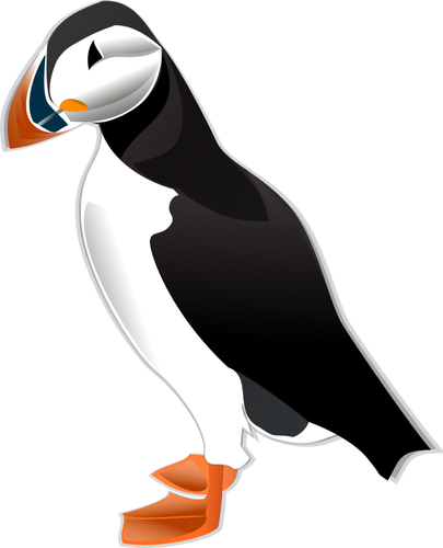 Puffin bird vector illustration