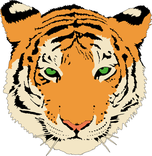 Clip-art vector da cabeça do tigre jovem