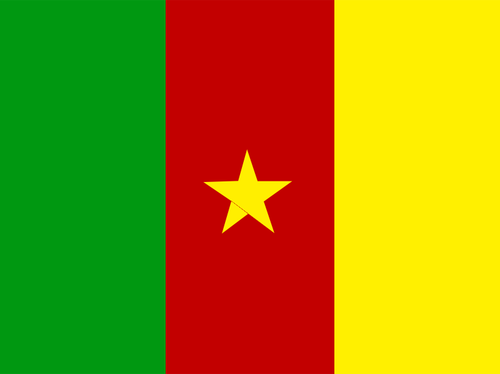 Cameroon flag vector drawing