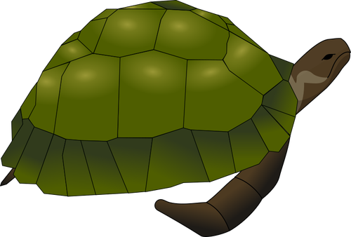 Leiketaidetta suuresta vanhasta kilpikonnasta vihreällä ja ruskealla
