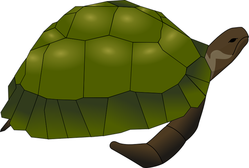 Clip art of large old turtle in green and brown