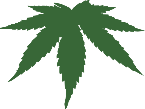 Image vectorielle de cannabis feuille couleur