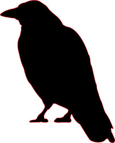 Silhouette-Bild von einer Krähe