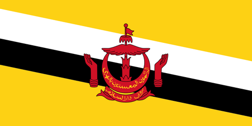 Флаг Брунея-Даруссалама векторное изображение