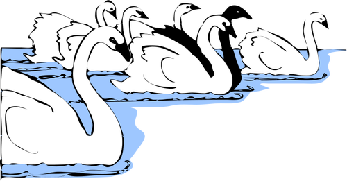 水ベクトル画像の白鳥