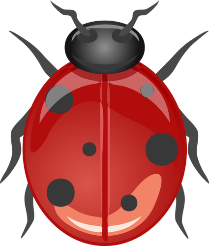 Glossy ladybug