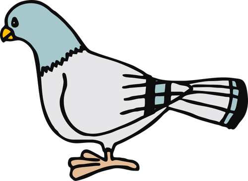 A pigeon | Public domain vectors