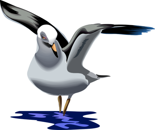 Vector graphics of seagull flying up