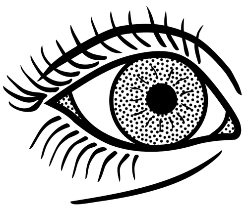 Female eye line art vector graphics