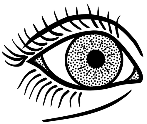 Female eye line art vector graphics