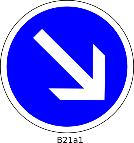 To the right direction only road sign vector image