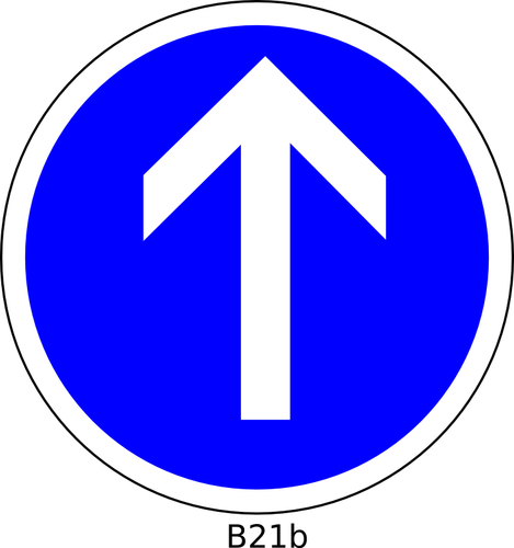 Direction straight on only road sign vector image