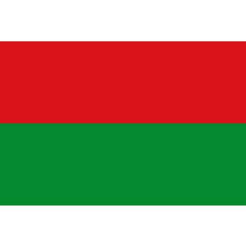 ボリバル州の旗